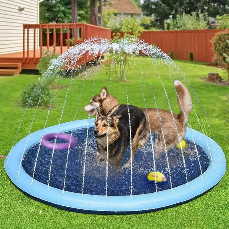 SplashPup