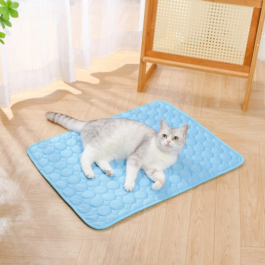 ChillPaws