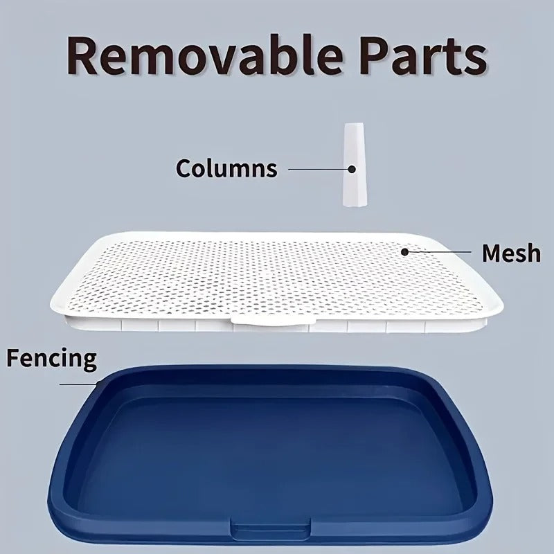 CleanPaws