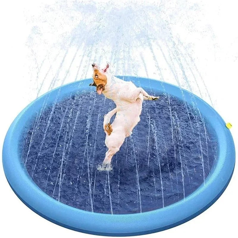 SplashPup