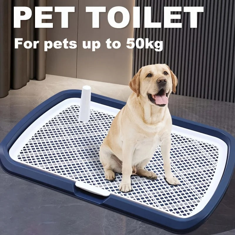 CleanPaws