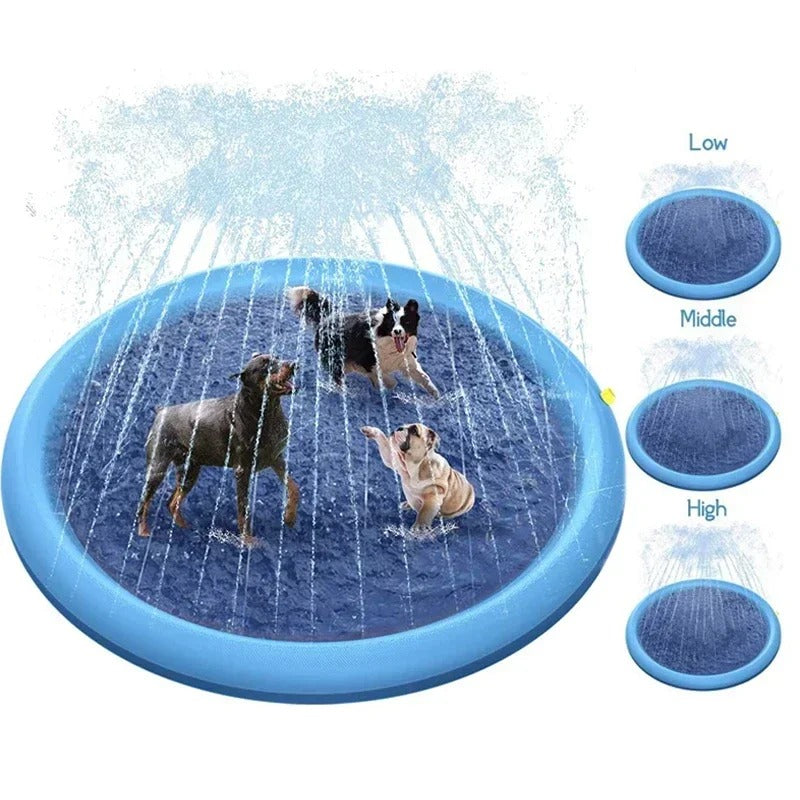 SplashPup