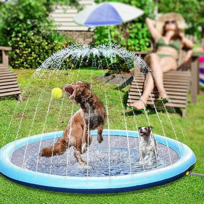 SplashPup
