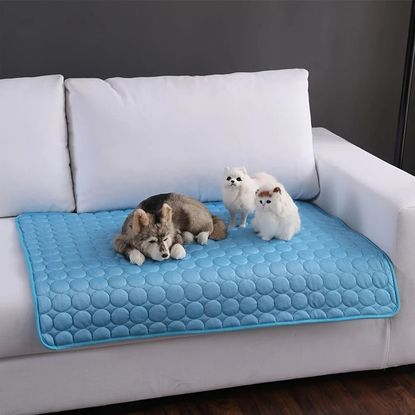 ChillPaws