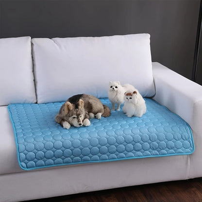 ChillPaws