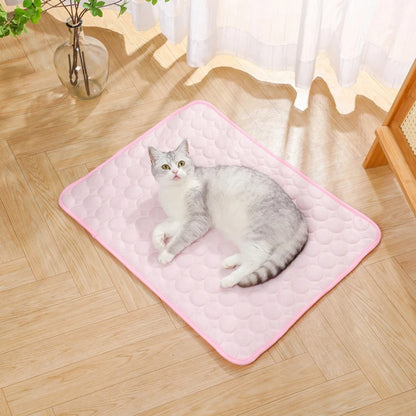 ChillPaws