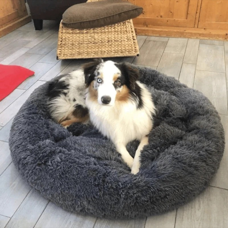 FluffNest
