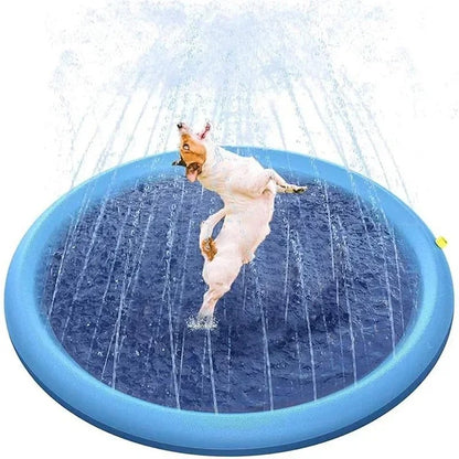 SplashPup